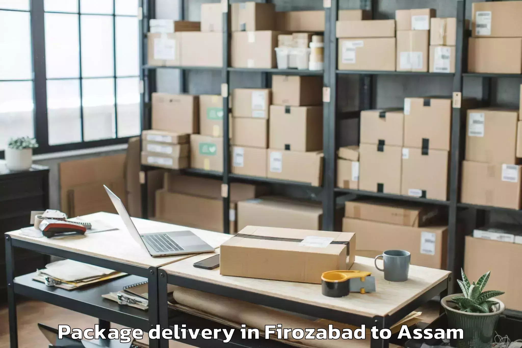 Hassle-Free Firozabad to Tezpur University Tezpur Package Delivery